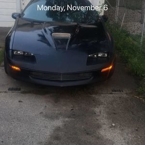 Meet your Posher, Maurice